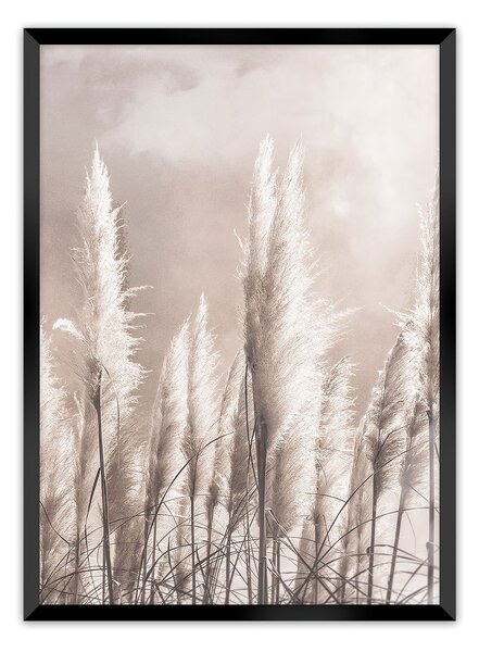 Obraz Grass