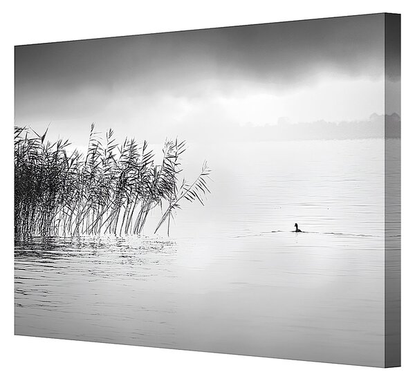 Obraz na płótnie By the Lake II