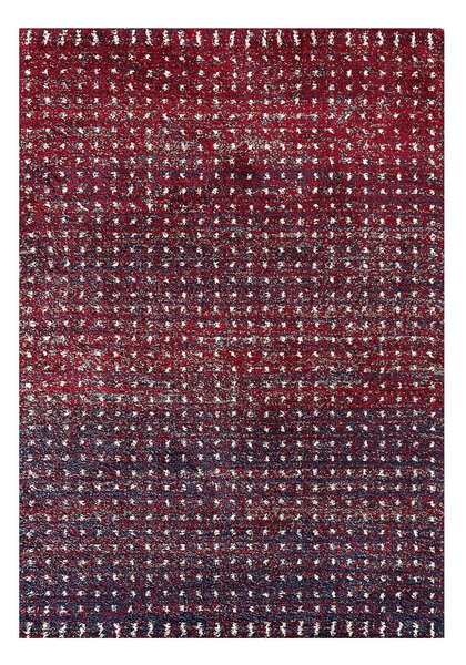 Dywan Royal cherry red/navy 160x230cm