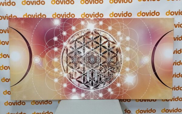 Obraz czarująca Mandala