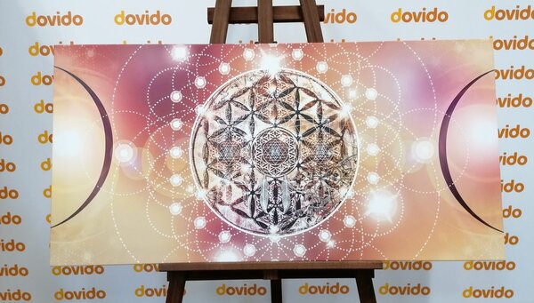 Obraz czarująca Mandala