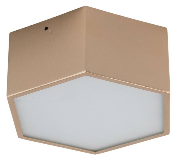 Lampa sufitowa LED Libre Argon, mosiężny / złoty, salon / jadalnia, metal