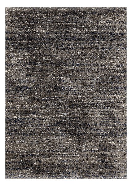 Dywan Royal Nomadic Living dark grey/sailor blue 120x170cm