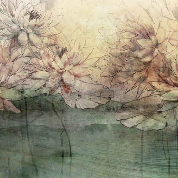 Tapeta Artystyczna Water Lilies - Orange - Tapeta Do Salonu Z Motywem Lilii Wodnych