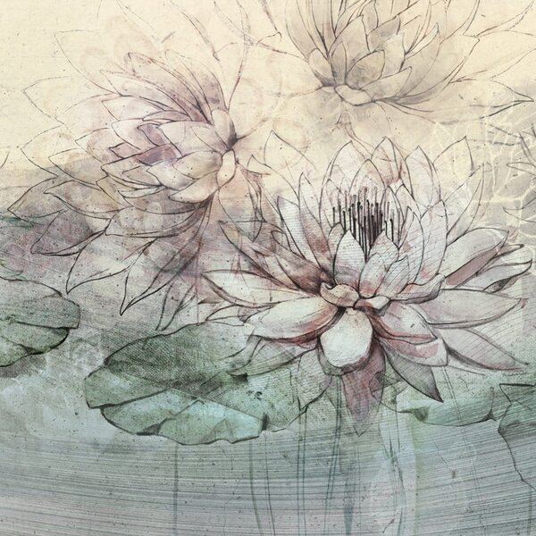 Tapeta Artystyczna Water Lilies - Grey - Tapeta Do Salonu Z Motywem Lilii Wodnych