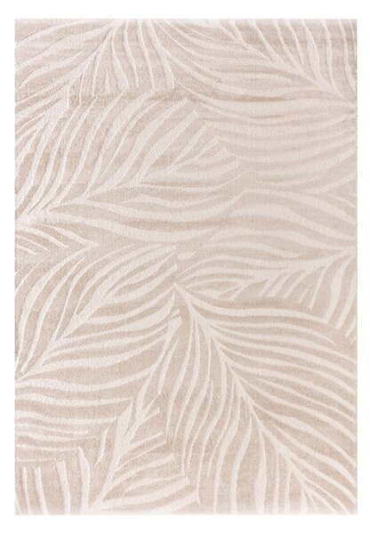 Dywan Velora beige 200x290 cm