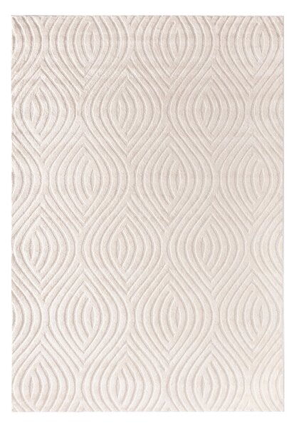 Dywan Serenno cream 200x290 cm
