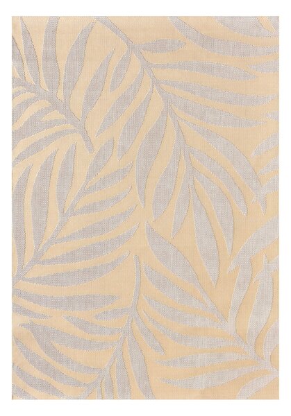 Dywan Avenna golden beige 160x230 cm
