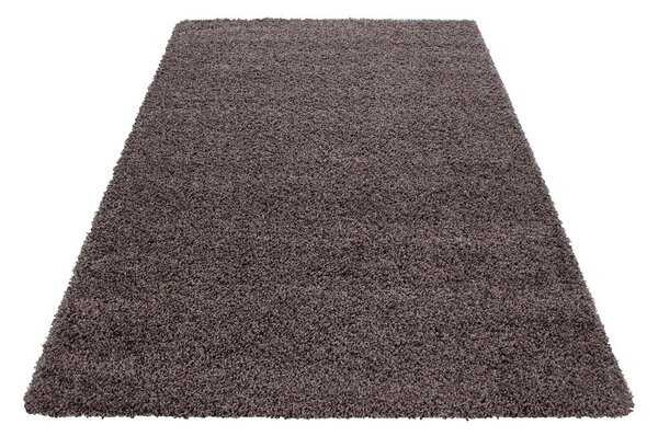 Brązowy dywan 80x150 cm Life – Ayyildiz Carpets
