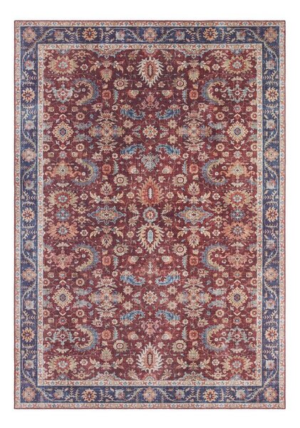 Bordowy dywan Nouristan Vivana, 200x290 cm