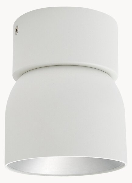 Lampa sufitowa z funkcją przyciemniania Pitcher