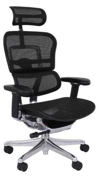 Ergonomiczny fotel biurowy Ergohuman Elite 2 BS Black - czarny nowoczesny fotel siatkowy