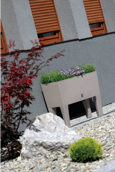 Prosperplast Skrzynka kwiatowa Rato Case HIGH ciemny brąz, 60x25x46cm