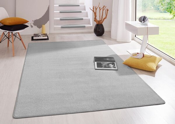 Jasnoszary dywan 80x150 cm Fancy – Hanse Home