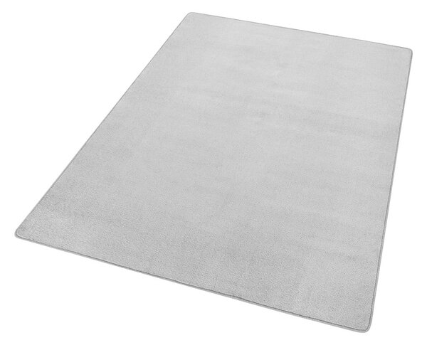 Jasnoszary dywan 80x150 cm Fancy – Hanse Home