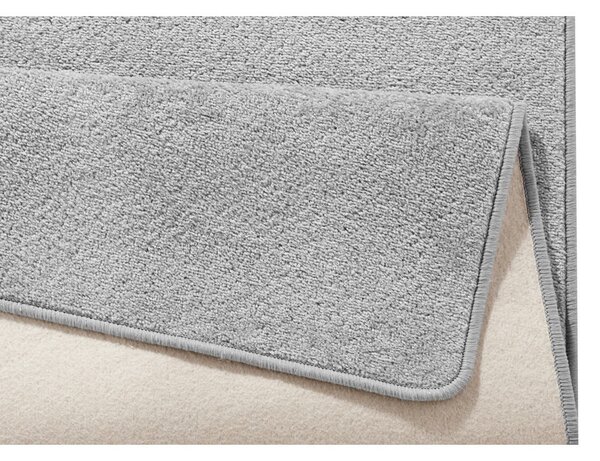 Jasnoszary chodnik 80x200 cm Fancy – Hanse Home