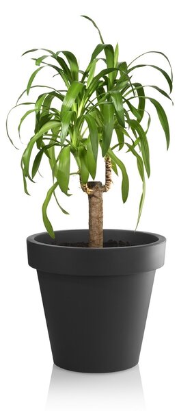Gardenico Doniczka Metro Twist 'n' Roll antracyt, 29 x 26,5 cm, 29 cm