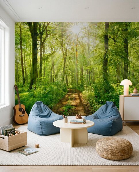 Fototapety Ścieżka w słonecznym lesie, Fototapety Natura, u22252 : Uwalls.pl