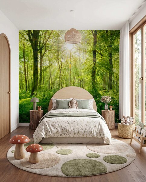 Fototapety Ścieżka w słonecznym lesie, Fototapety Natura, u22252 : Uwalls.pl