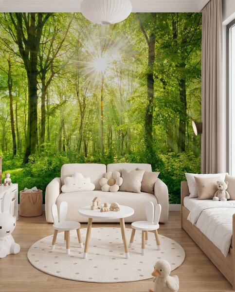 Fototapety Ścieżka w słonecznym lesie, Fototapety Natura, u22252 : Uwalls.pl