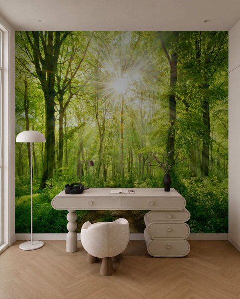 Fototapety Ścieżka w słonecznym lesie, Fototapety Natura, u22252 : Uwalls.pl