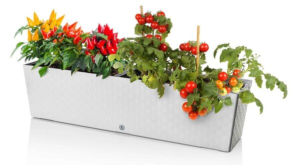 Flower Lover Donica samonawadniająca Supreme biały, 75 cm, 75 cm