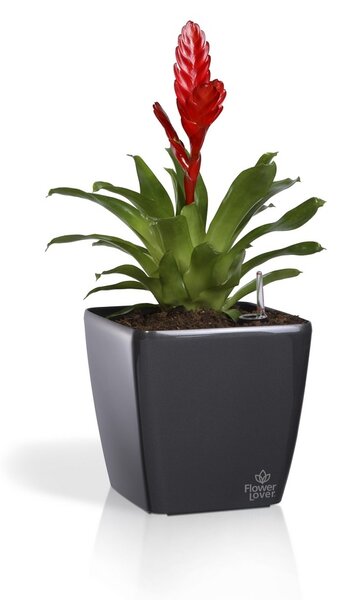 Flower Lover Osłonka na doniczkę Quadrato Easy czarny, 18 cm