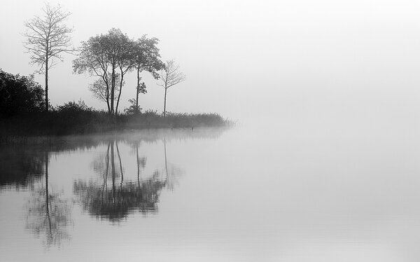 Obraz na płótnie By the Lake I