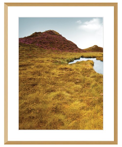 Obraz Grassy Field I 40x50cm