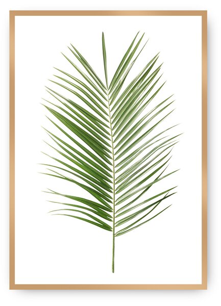 Plakat Palm Leaf Green