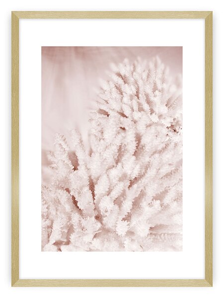 Plakat Pastel Pink II