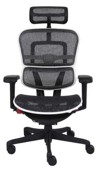 Fotel gamingowy Ergohuman 2 Ultra Aurora White