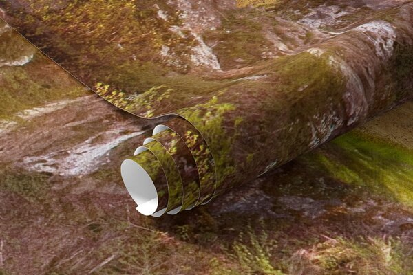 Fototapety Roślina, niebo i chmura, Fototapety Dziecięce, Fototapety Dla dziewczynek, u59924 : Uwalls.pl