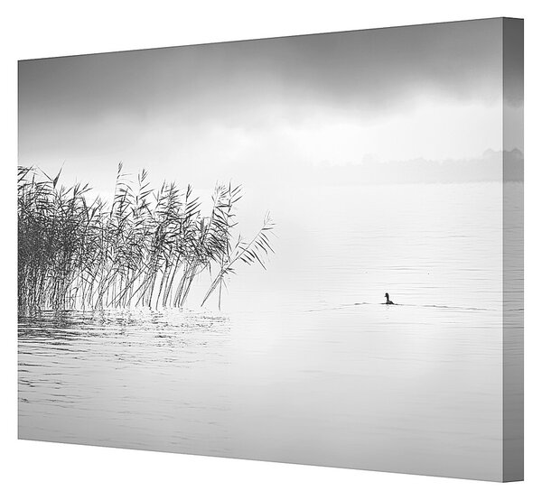 Obraz na płótnie By the Lake II