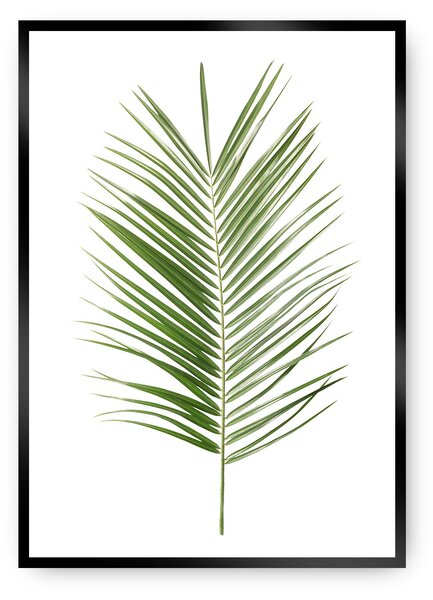 Plakat Palm Leaf Green