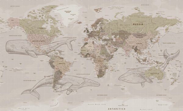 Fototapeta Mapa świata z wielorybami, Fototapety z mapami świata, Popularne Fototapety, u50449 - Tapeko.pl