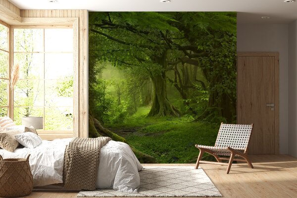 Fototapety Starożytny las, Fototapety Natura, u56167 : Uwalls.pl