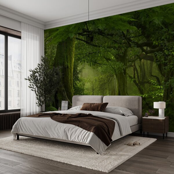 Fototapety Starożytny las, Fototapety Natura, u56167 : Uwalls.pl