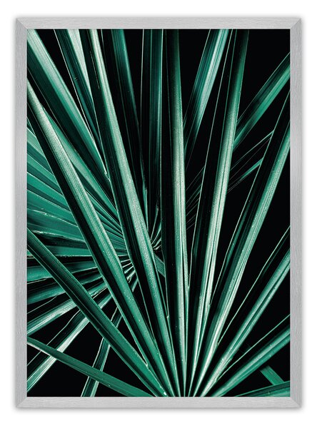 Plakat Dark Palm Tree