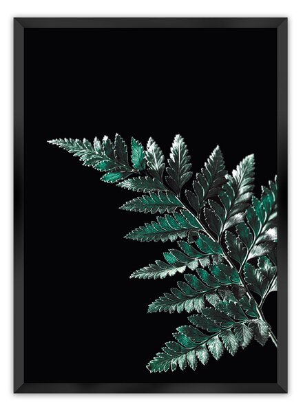 Plakat Dark Fern Leaf