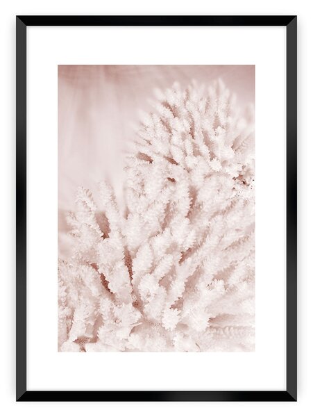 Plakat Pastel Pink II