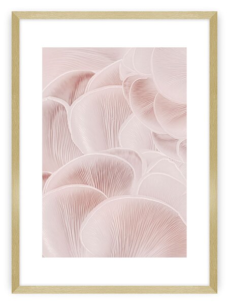 Plakat Pastel Pink I