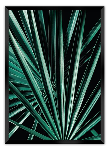Plakat Dark Palm Tree