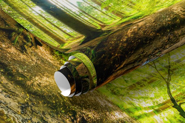 Fototapety Przejrzystość leśnego potoku, Fototapety Natura, u93621 : Uwalls.pl