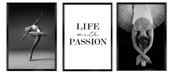 Zestaw obrazów Passion 3 szt