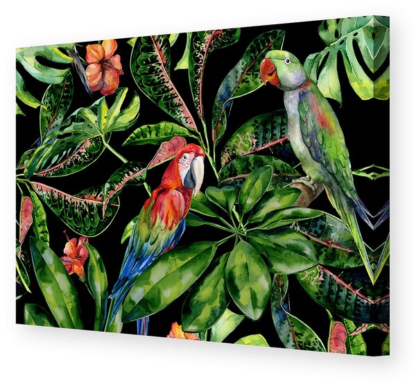 Obraz na płótnie Tropical Birds
