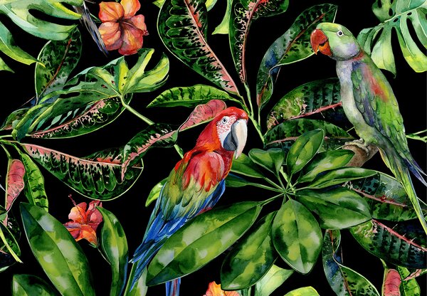 Obraz na płótnie Tropical Birds
