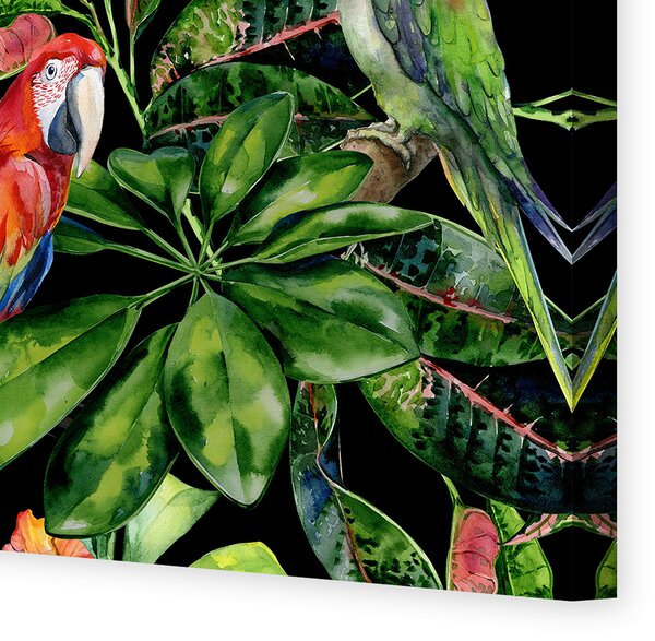 Obraz na płótnie Tropical Birds