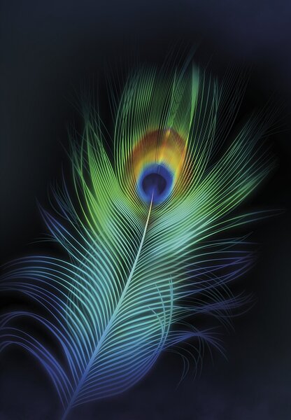 Obraz na płótnie Peacock Eye