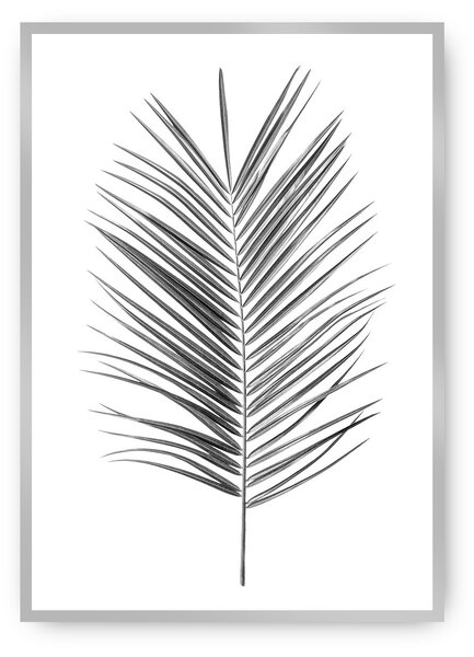 Plakat Palm Leaf Green